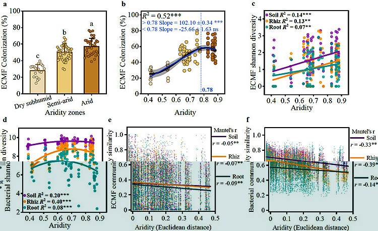 1_副本_107411_副本